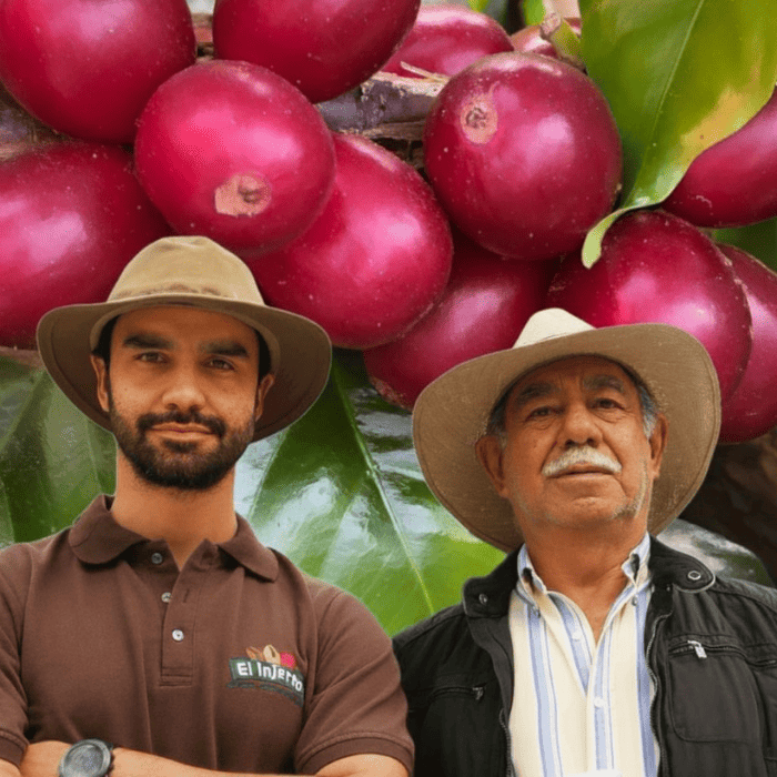 グアテマラ　エル・インヘルト農園　パタゴニア